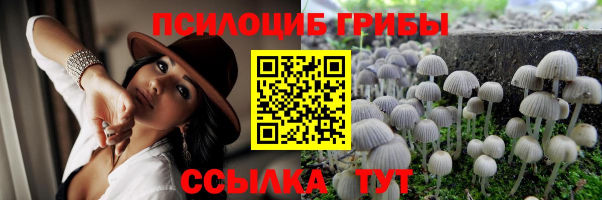 Оренбург  Галлюциногенные грибы мицелий  Вход с VPN 